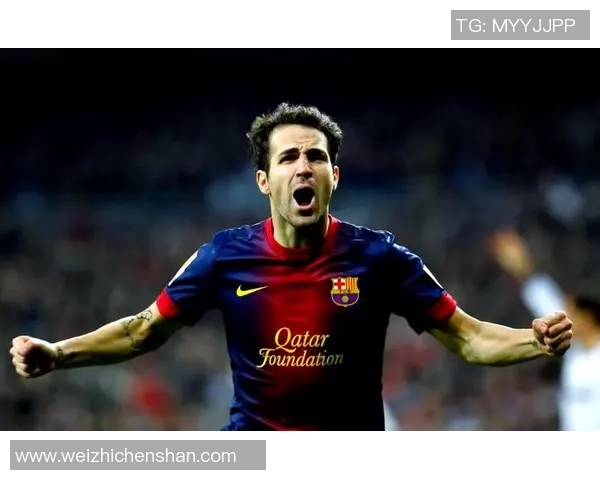 西班牙足球明星罗耶的传奇之路与辉煌成就回顾