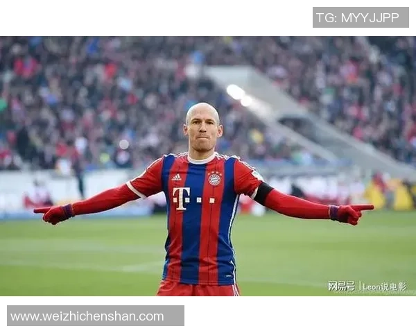 足球明星外号揭秘与统计分析图解展示